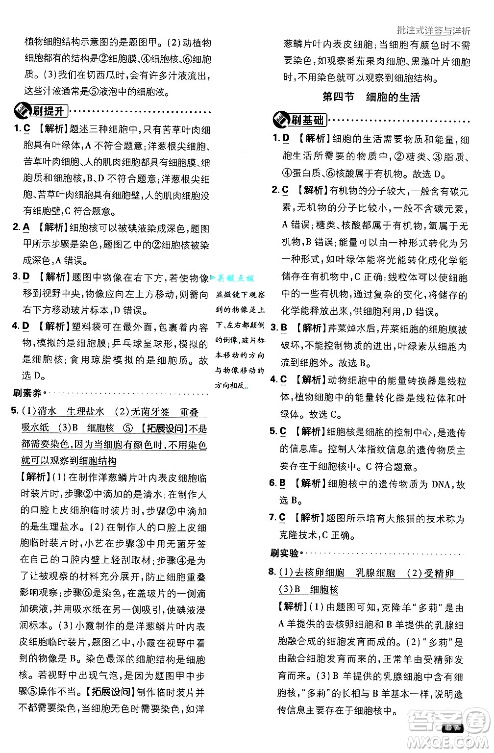 開明出版社2025屆初中必刷題拔尖提優(yōu)訓(xùn)練七年級生物上冊人教版答案