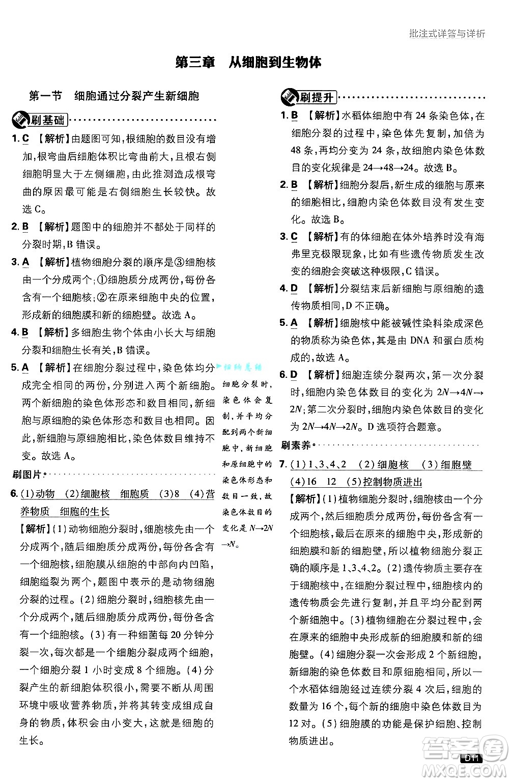 開明出版社2025屆初中必刷題拔尖提優(yōu)訓(xùn)練七年級生物上冊人教版答案