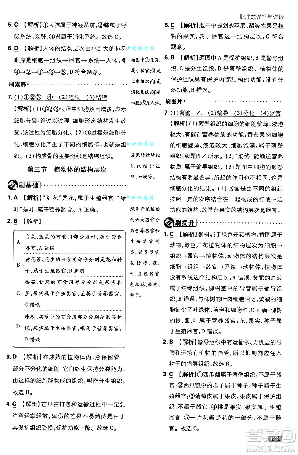 開明出版社2025屆初中必刷題拔尖提優(yōu)訓(xùn)練七年級生物上冊人教版答案