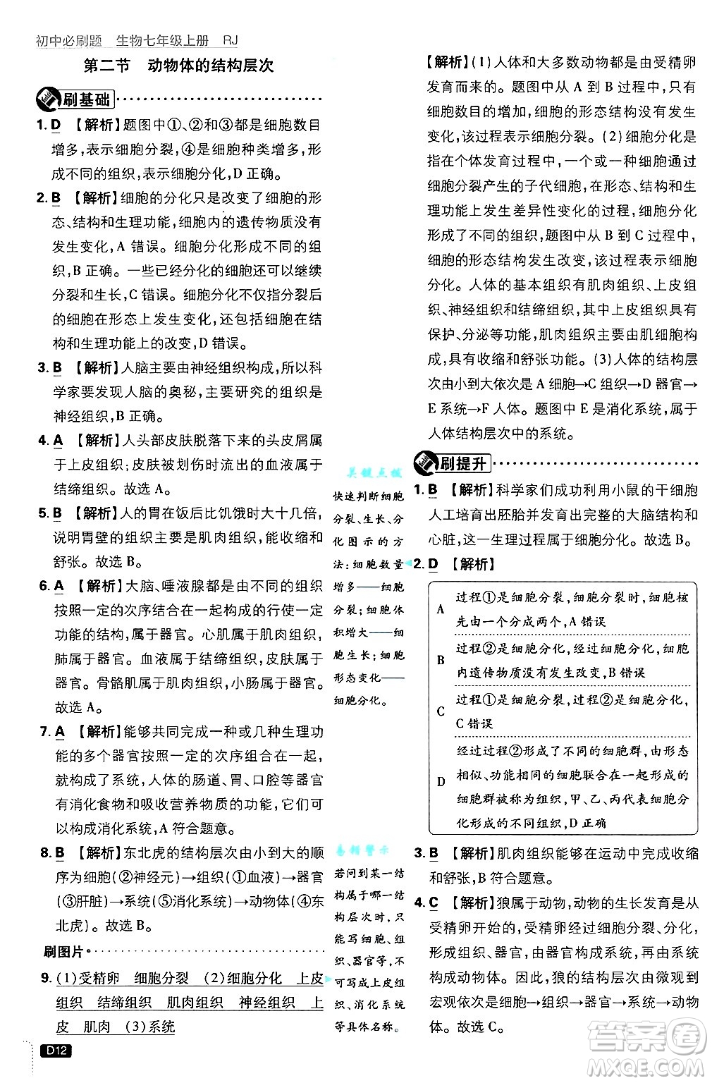 開明出版社2025屆初中必刷題拔尖提優(yōu)訓(xùn)練七年級生物上冊人教版答案