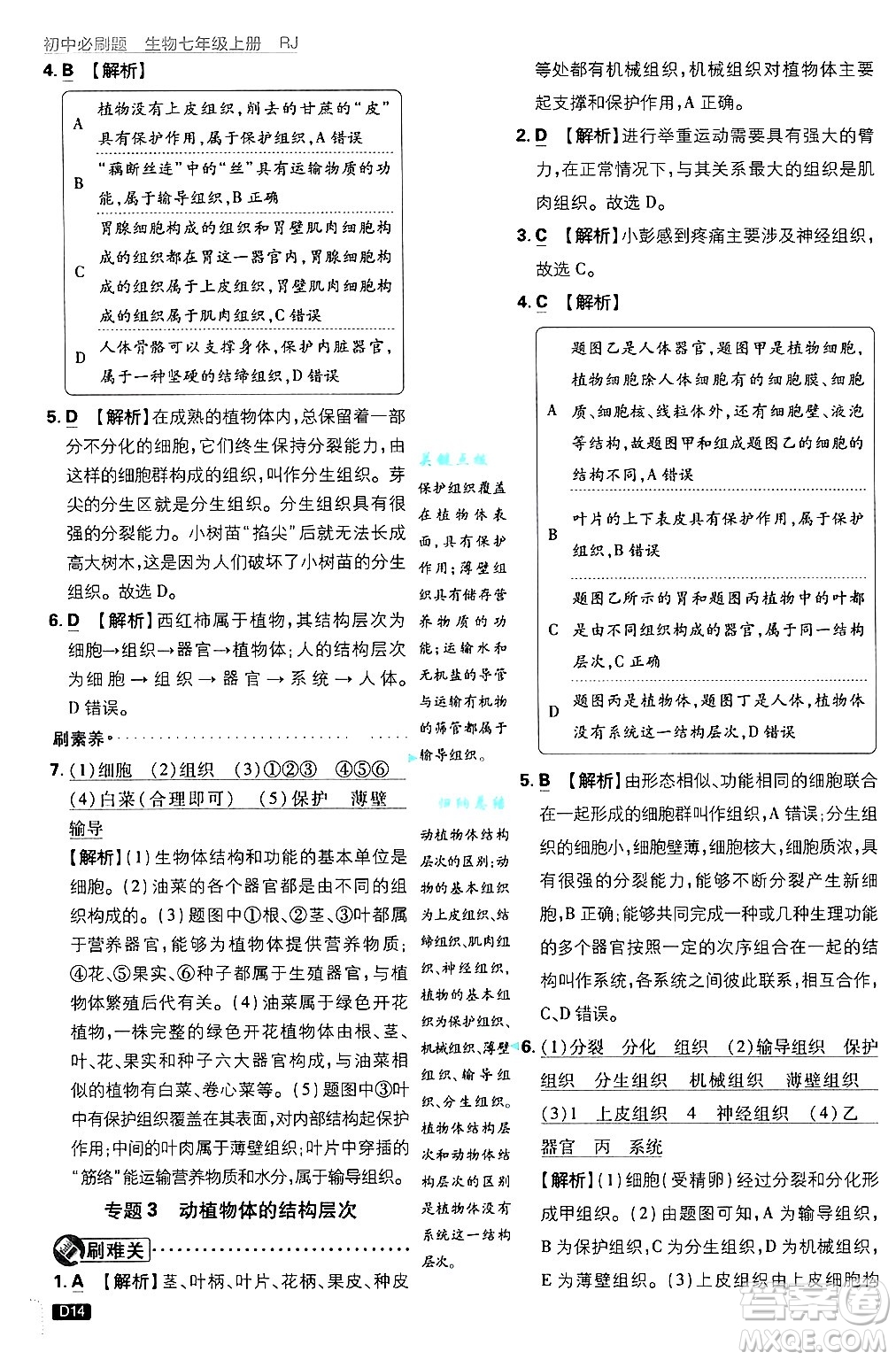 開明出版社2025屆初中必刷題拔尖提優(yōu)訓(xùn)練七年級生物上冊人教版答案