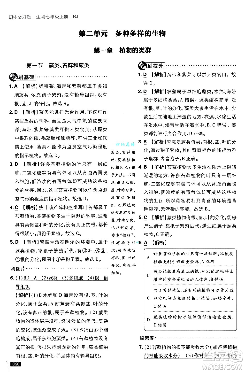 開明出版社2025屆初中必刷題拔尖提優(yōu)訓(xùn)練七年級生物上冊人教版答案