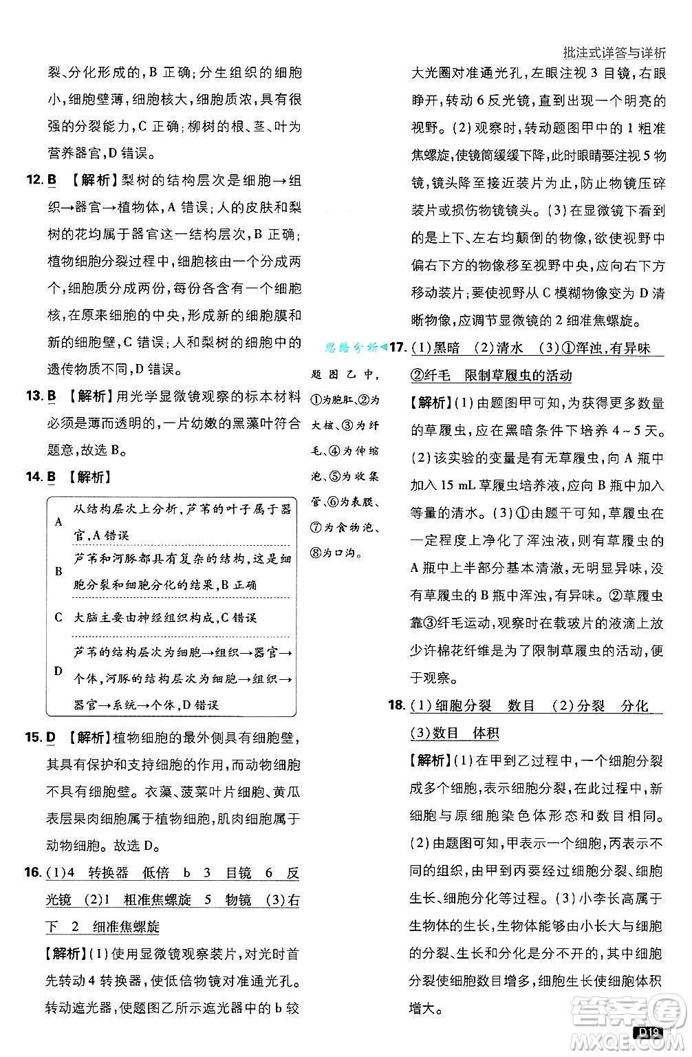 開明出版社2025屆初中必刷題拔尖提優(yōu)訓(xùn)練七年級生物上冊人教版答案