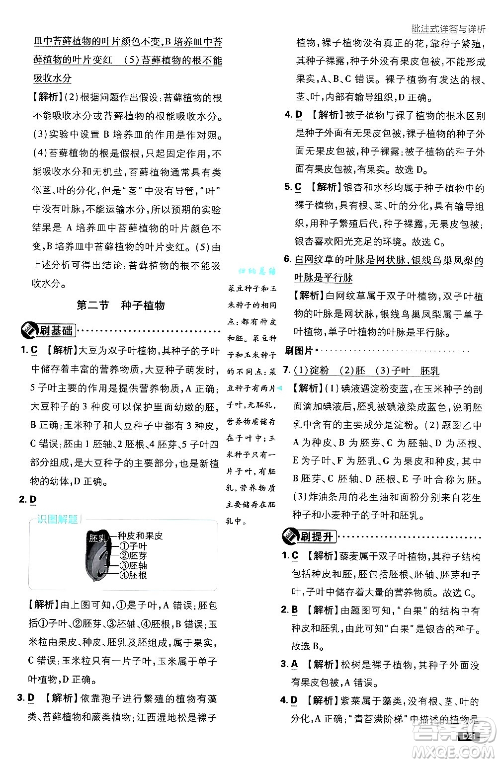 開明出版社2025屆初中必刷題拔尖提優(yōu)訓(xùn)練七年級生物上冊人教版答案