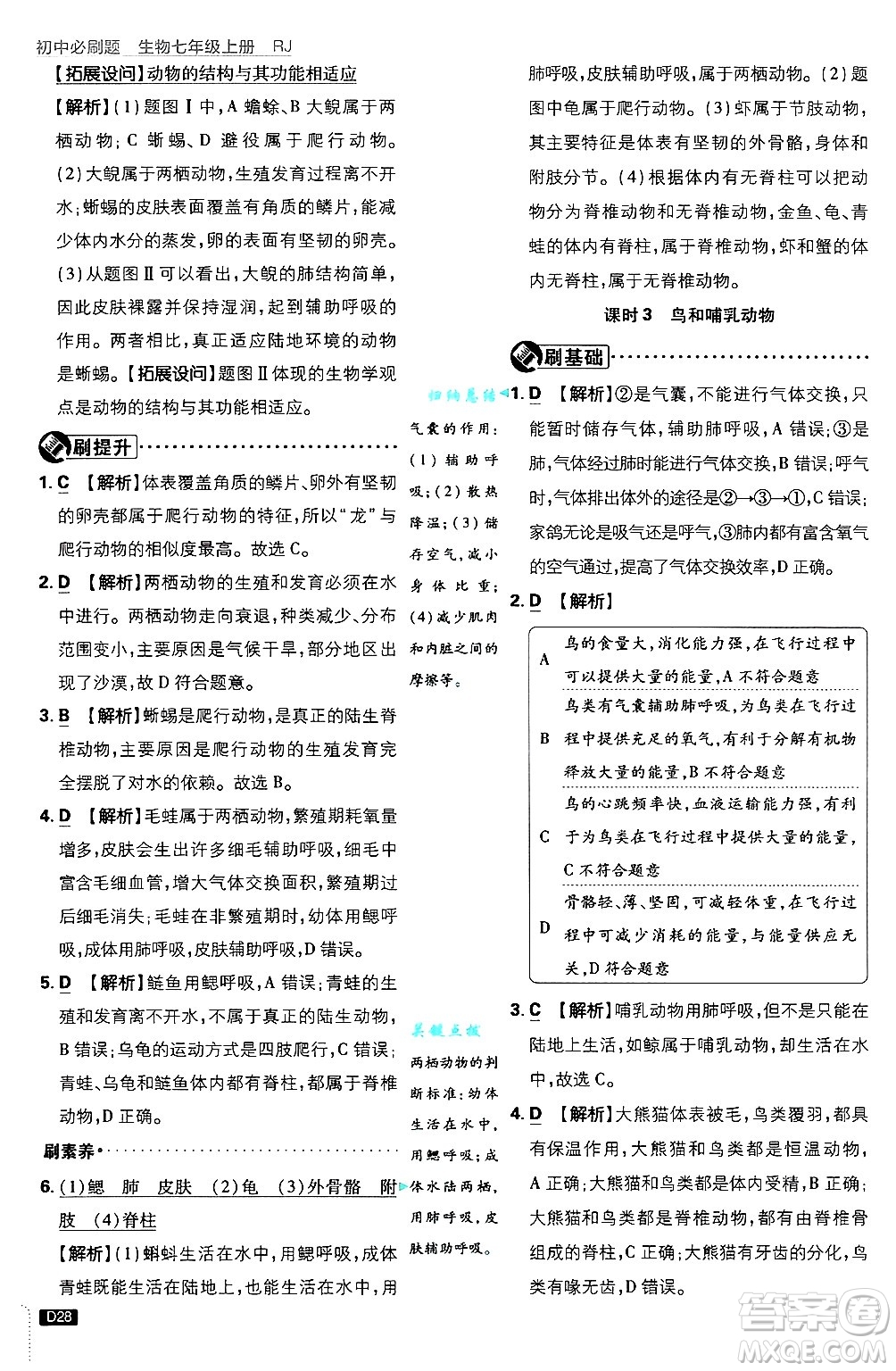 開明出版社2025屆初中必刷題拔尖提優(yōu)訓(xùn)練七年級生物上冊人教版答案