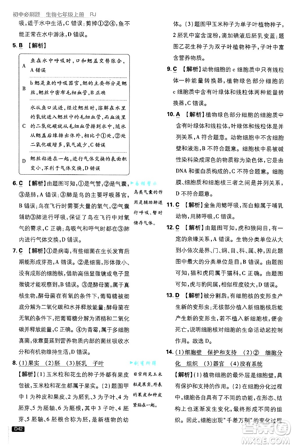 開明出版社2025屆初中必刷題拔尖提優(yōu)訓(xùn)練七年級生物上冊人教版答案