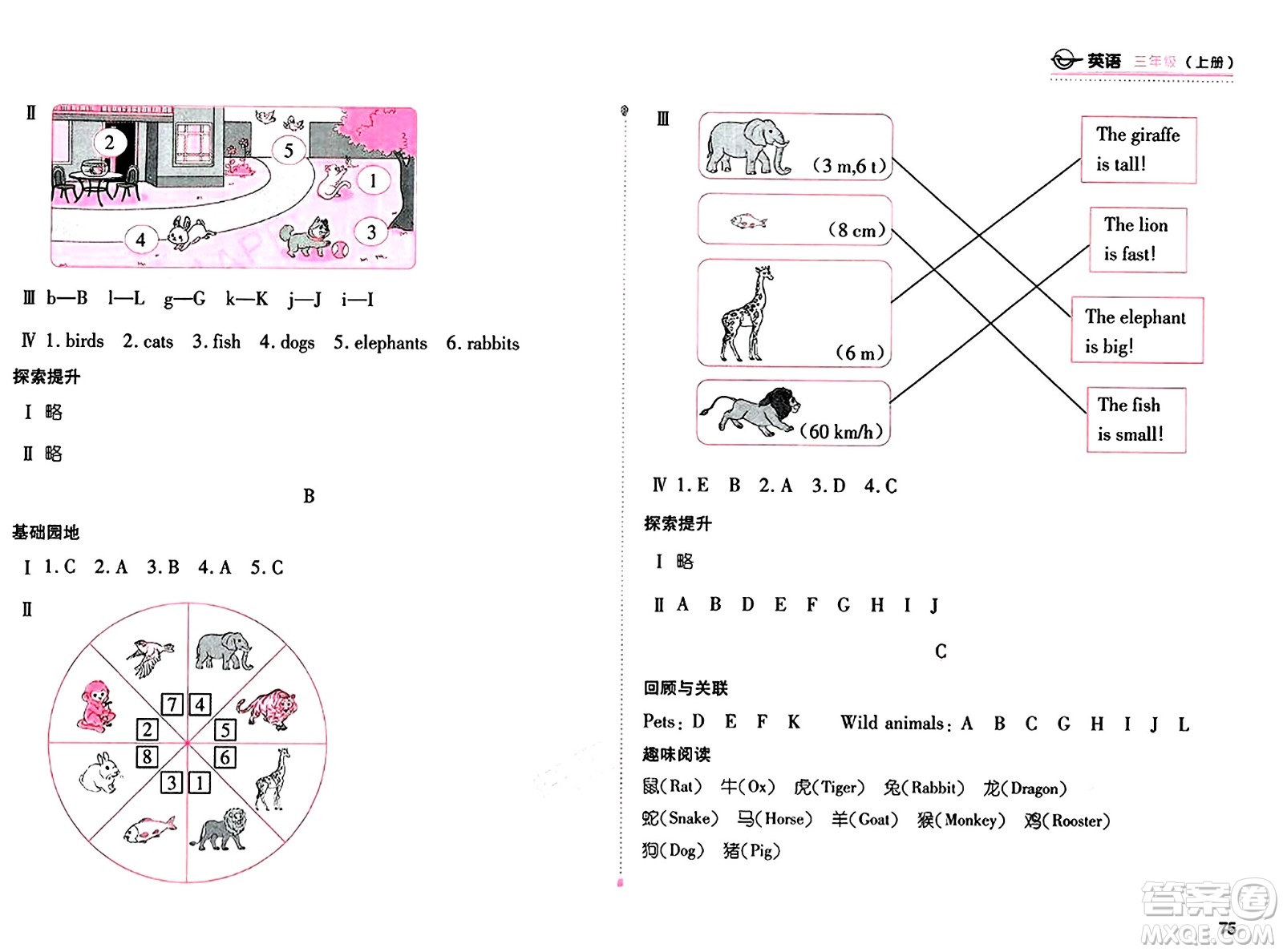 安徽少年兒童出版社2024年秋新編基礎(chǔ)訓(xùn)練三年級英語上冊人教版答案