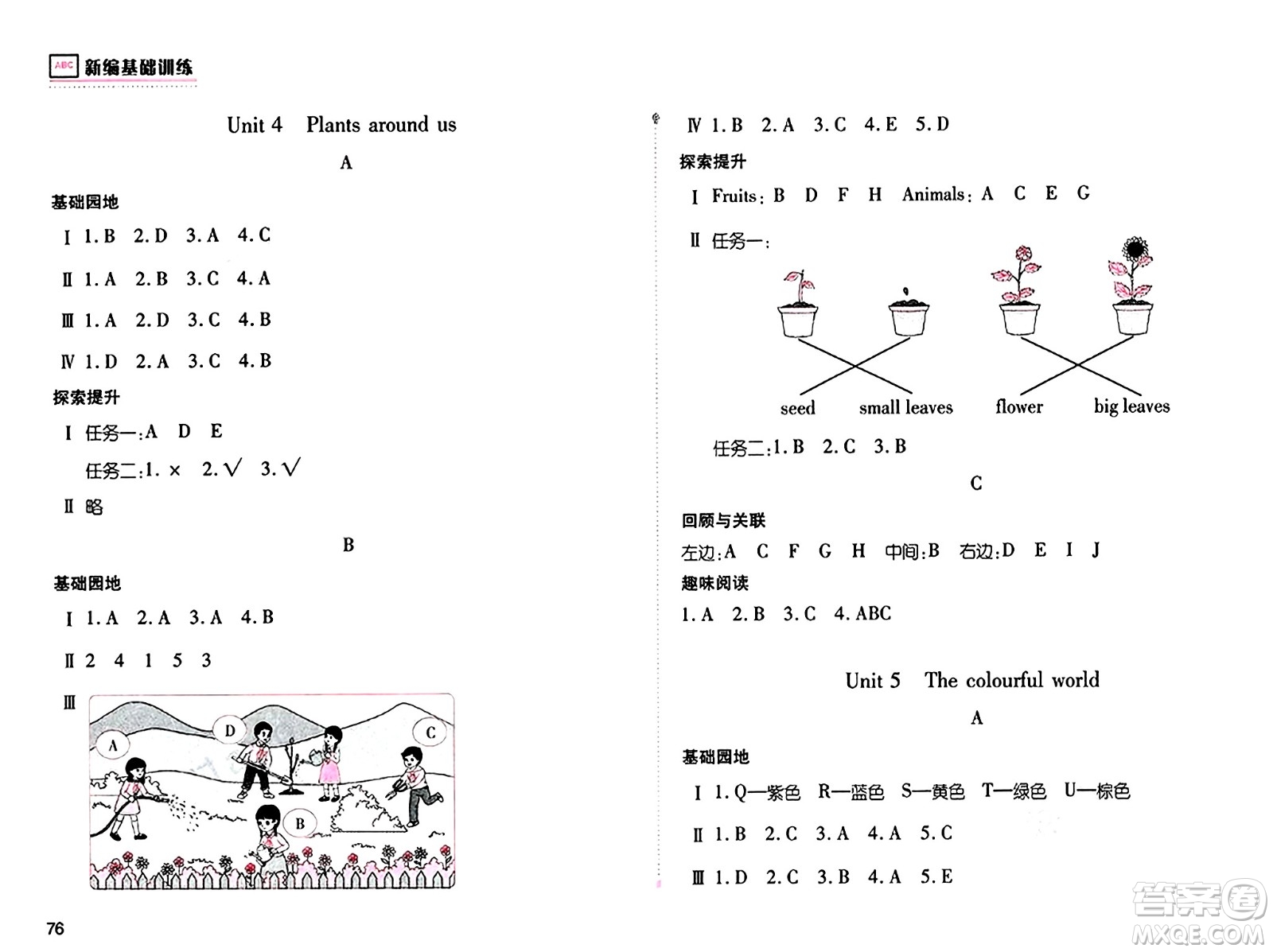 安徽少年兒童出版社2024年秋新編基礎(chǔ)訓(xùn)練三年級英語上冊人教版答案