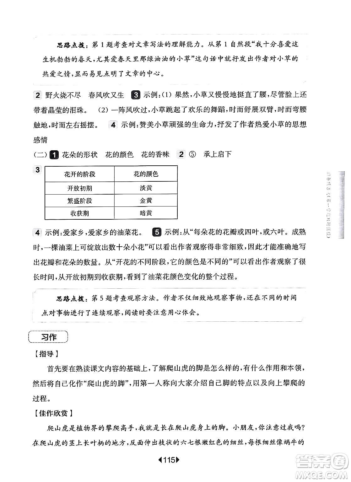 華東師范大學(xué)出版社2024年秋華東師大版一課一練四年級(jí)語(yǔ)文上冊(cè)華師版增強(qiáng)版上海專版答案