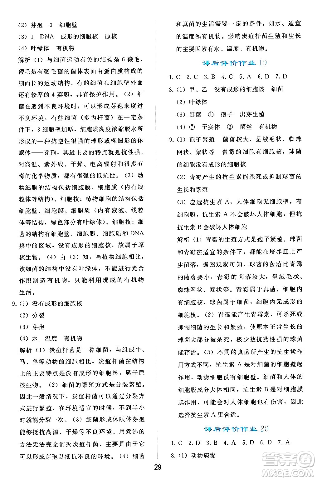 人民教育出版社2024年秋同步輕松練習(xí)七年級生物學(xué)上冊人教版答案