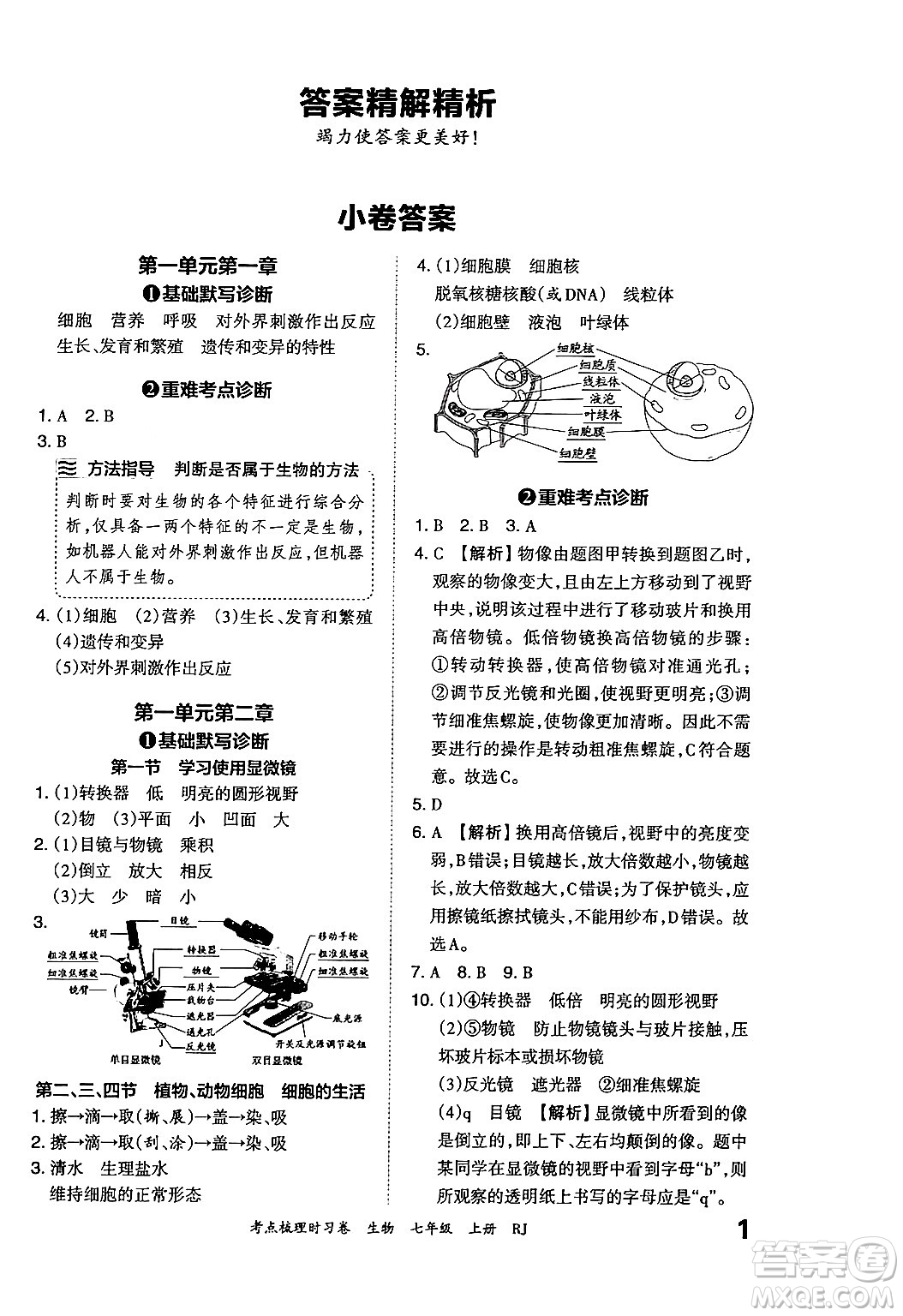 江西人民出版社2024年秋王朝霞考點(diǎn)梳理時(shí)習(xí)卷七年級(jí)生物上冊(cè)人教版答案