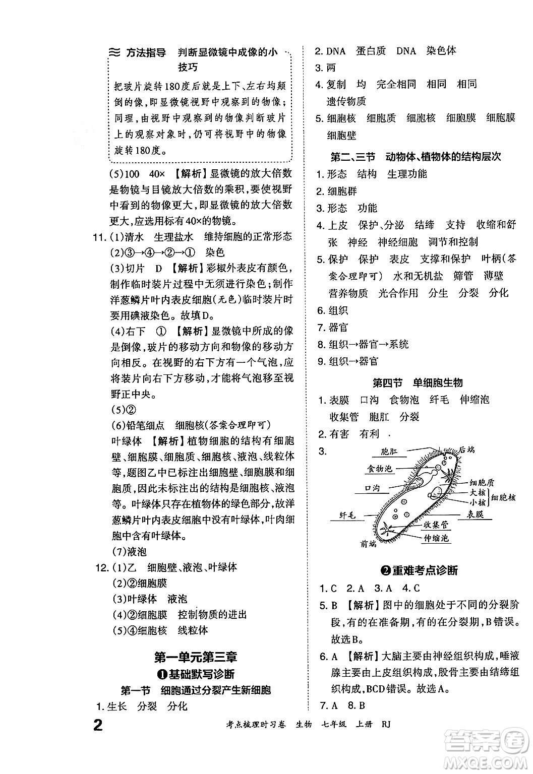 江西人民出版社2024年秋王朝霞考點(diǎn)梳理時(shí)習(xí)卷七年級(jí)生物上冊(cè)人教版答案