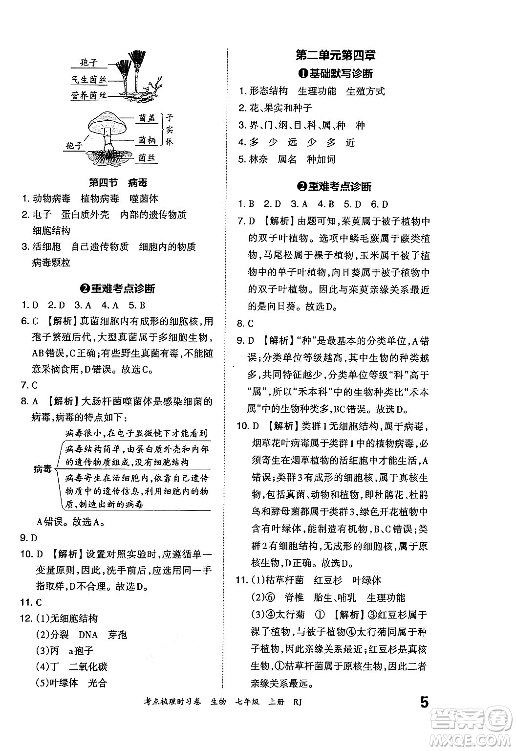 江西人民出版社2024年秋王朝霞考點(diǎn)梳理時(shí)習(xí)卷七年級(jí)生物上冊(cè)人教版答案