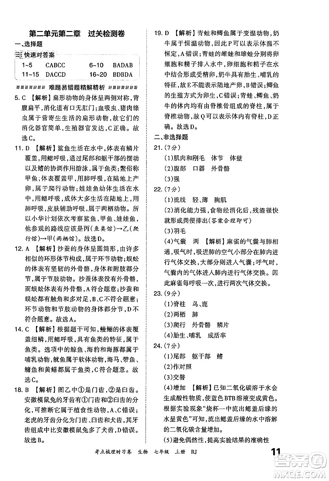 江西人民出版社2024年秋王朝霞考點(diǎn)梳理時(shí)習(xí)卷七年級(jí)生物上冊(cè)人教版答案