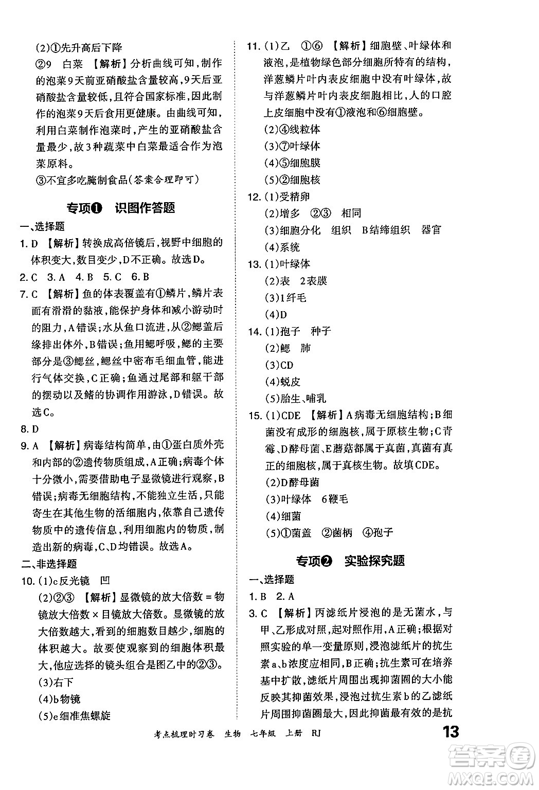 江西人民出版社2024年秋王朝霞考點(diǎn)梳理時(shí)習(xí)卷七年級(jí)生物上冊(cè)人教版答案