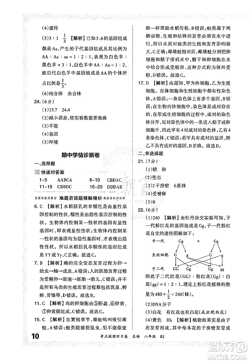 江西人民出版社2024年秋王朝霞考點梳理時習卷八年級生物上冊人教版答案