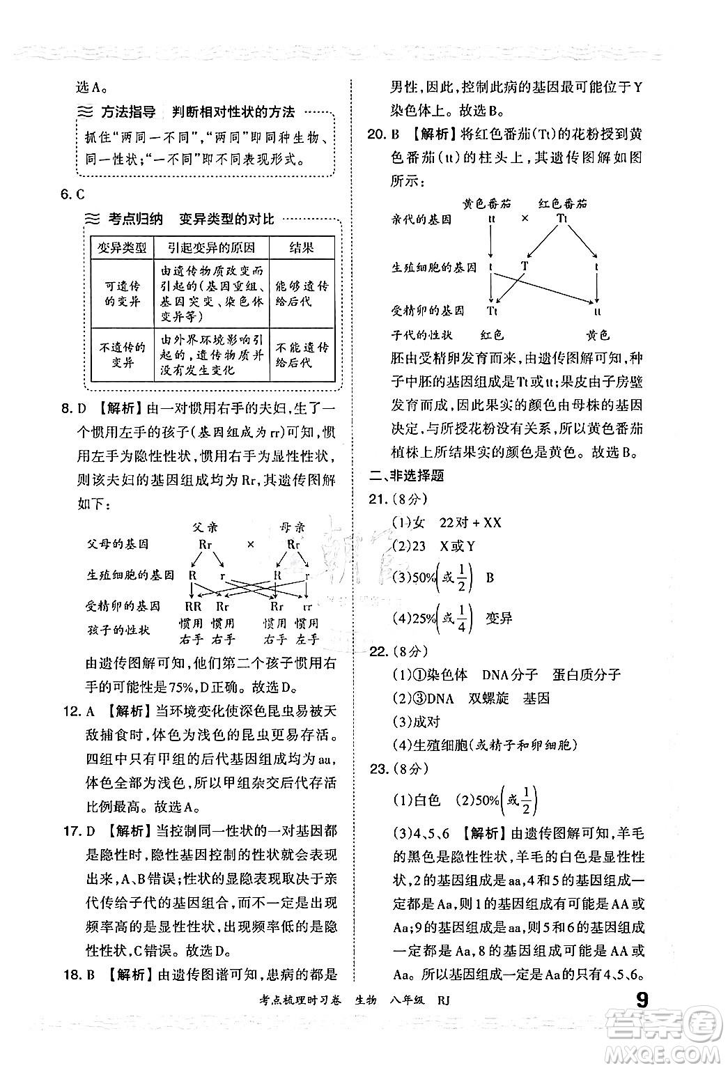 江西人民出版社2024年秋王朝霞考點梳理時習卷八年級生物上冊人教版答案