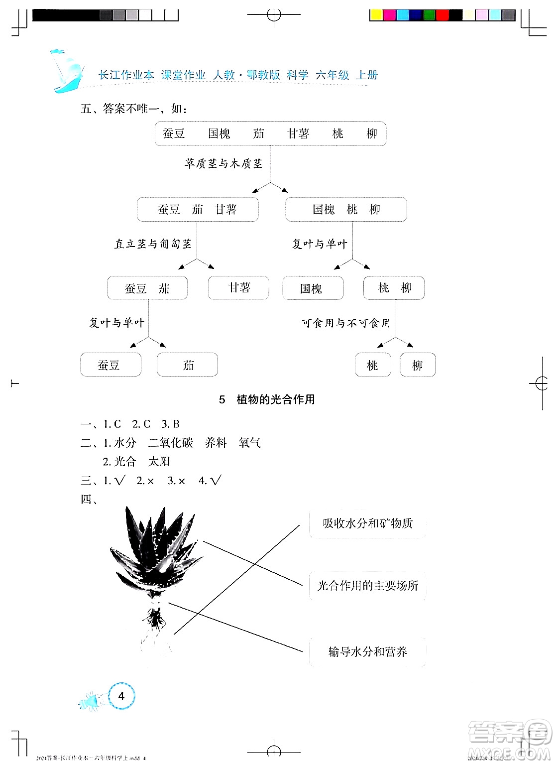 湖北教育出版社2024年秋長(zhǎng)江作業(yè)本課堂作業(yè)六年級(jí)科學(xué)上冊(cè)人教版答案