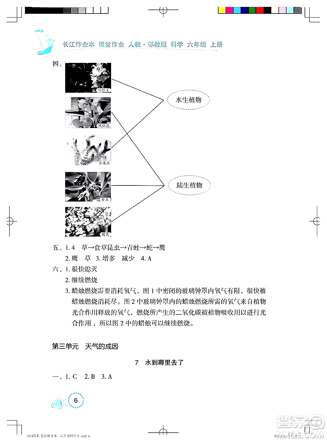 湖北教育出版社2024年秋長(zhǎng)江作業(yè)本課堂作業(yè)六年級(jí)科學(xué)上冊(cè)人教版答案