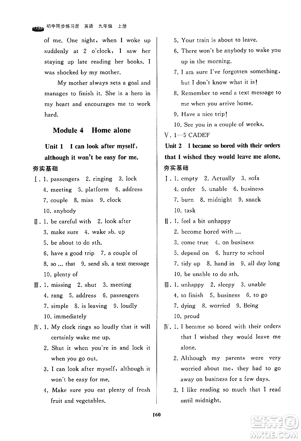 山東友誼出版社2024秋初中同步練習(xí)冊(cè)九年級(jí)英語(yǔ)上冊(cè)外研版答案