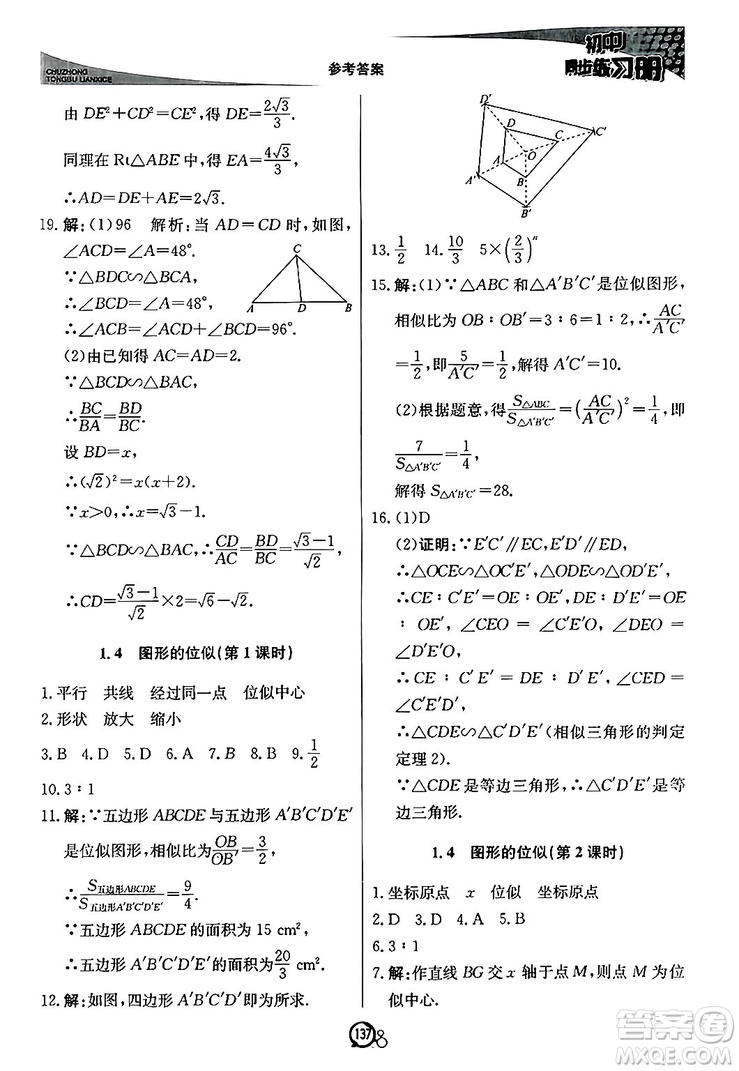 北京教育出版社2024秋初中同步練習冊九年級數(shù)學上冊青島版答案