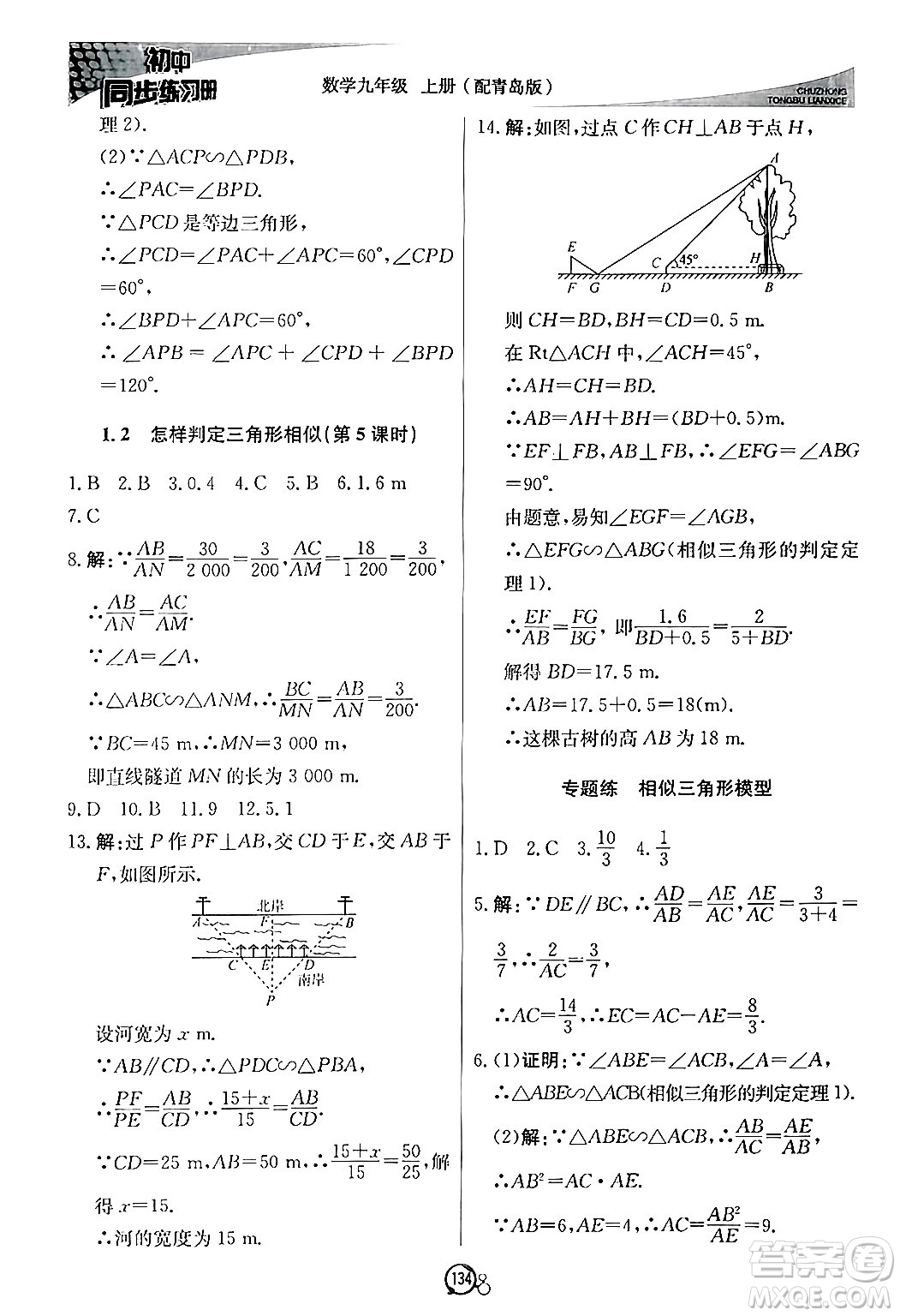 北京教育出版社2024秋初中同步練習冊九年級數(shù)學上冊青島版答案