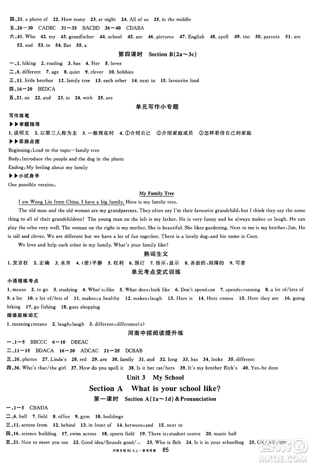 開明出版社2024年秋名校課堂七年級(jí)英語上冊(cè)人教版河南專版答案