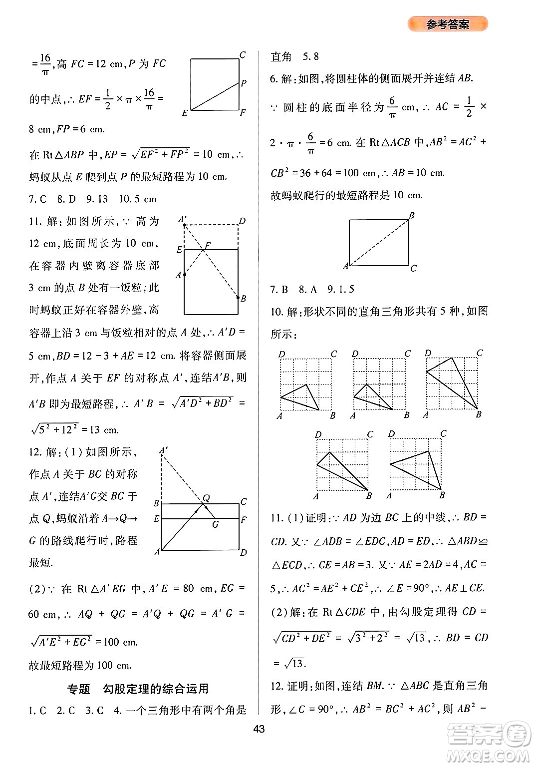 四川教育出版社2024年秋新課程實(shí)踐與探究叢書八年級(jí)數(shù)學(xué)上冊(cè)華師大版答案