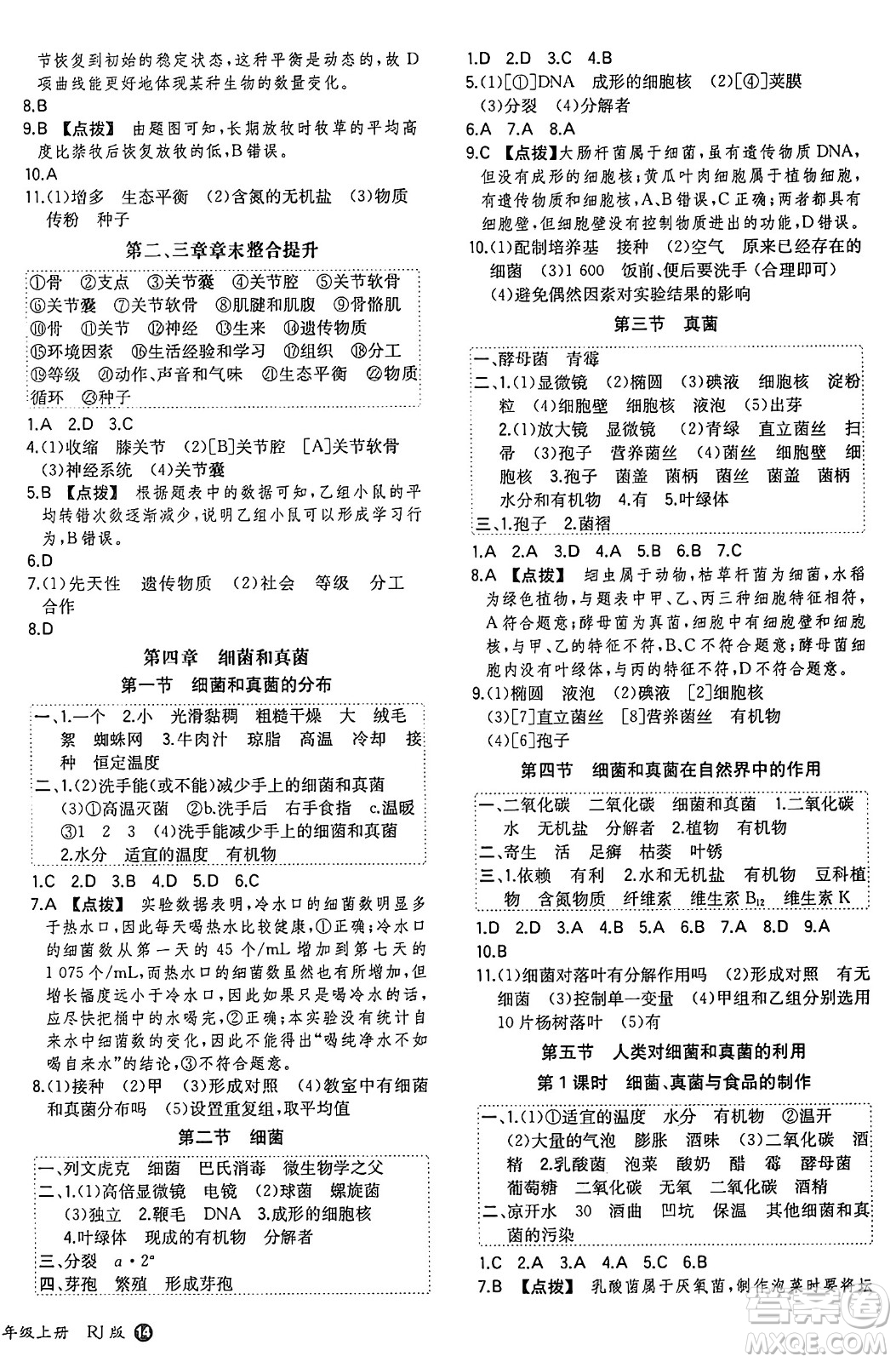 湖南教育出版社2024年秋一本同步訓(xùn)練八年級(jí)生物上冊(cè)人教版答案