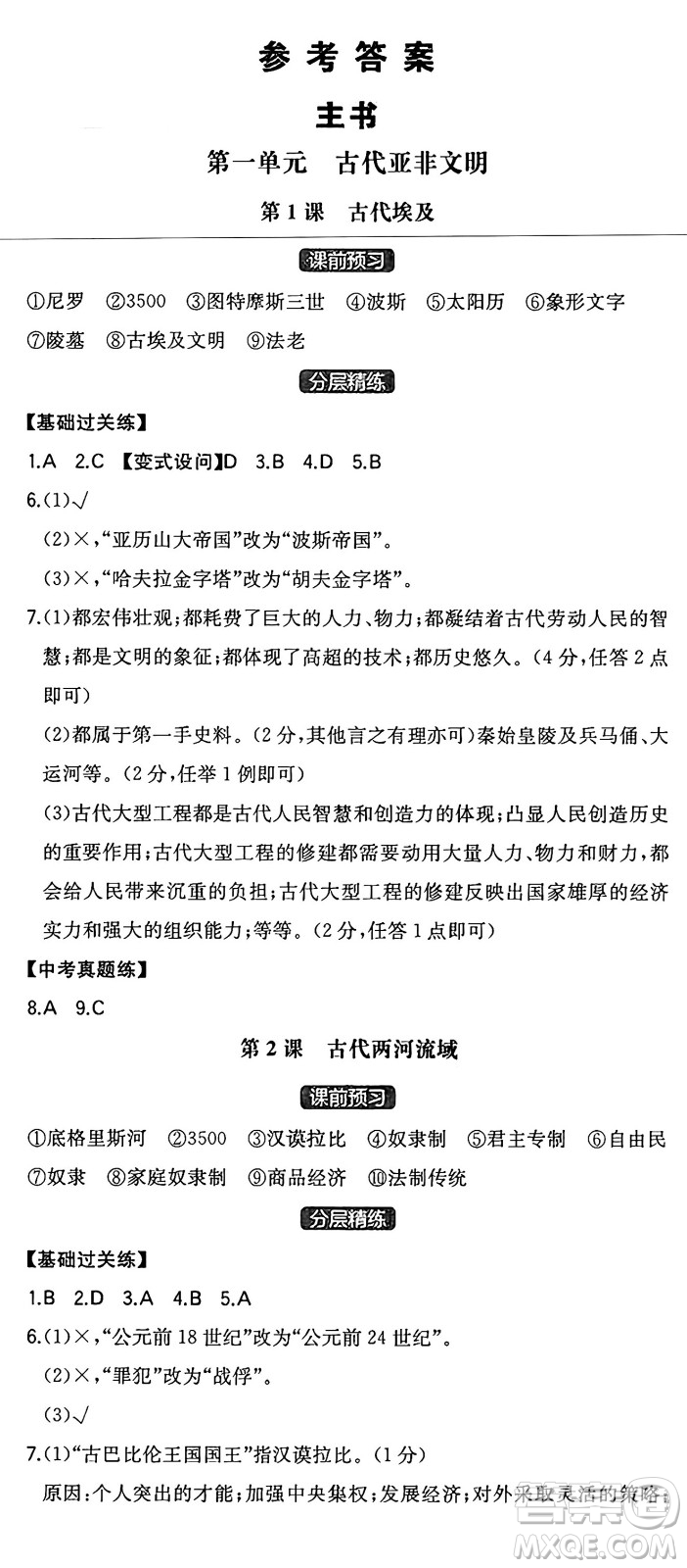 湖南教育出版社2024年秋一本同步訓(xùn)練九年級歷史上冊人教版安徽專版答案