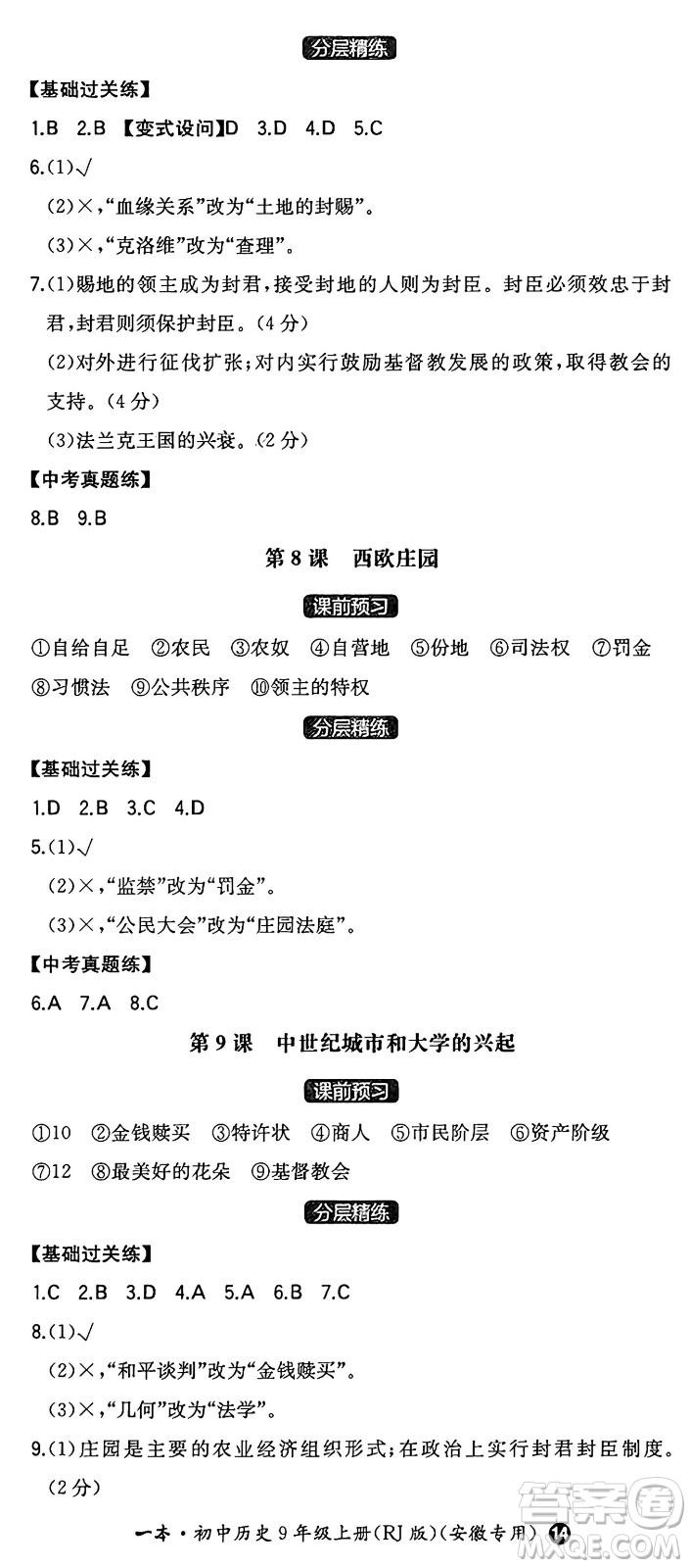 湖南教育出版社2024年秋一本同步訓(xùn)練九年級歷史上冊人教版安徽專版答案