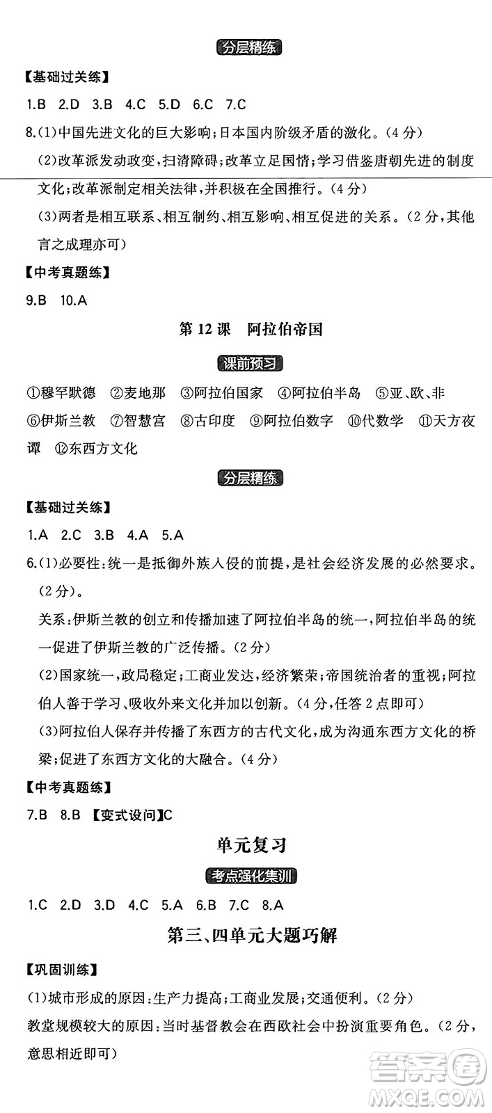 湖南教育出版社2024年秋一本同步訓(xùn)練九年級歷史上冊人教版安徽專版答案