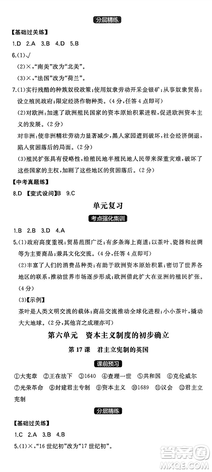 湖南教育出版社2024年秋一本同步訓(xùn)練九年級歷史上冊人教版安徽專版答案