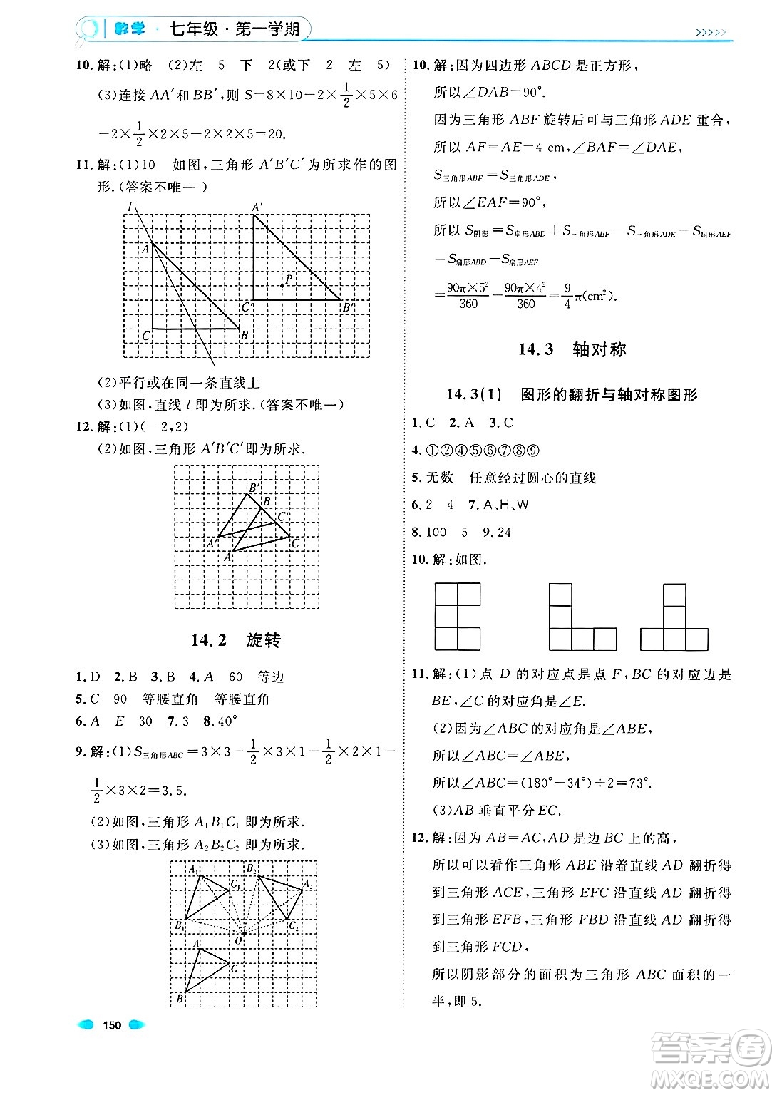 天津人民出版社2024年秋上海作業(yè)七年級(jí)數(shù)學(xué)上冊(cè)上海專版答案