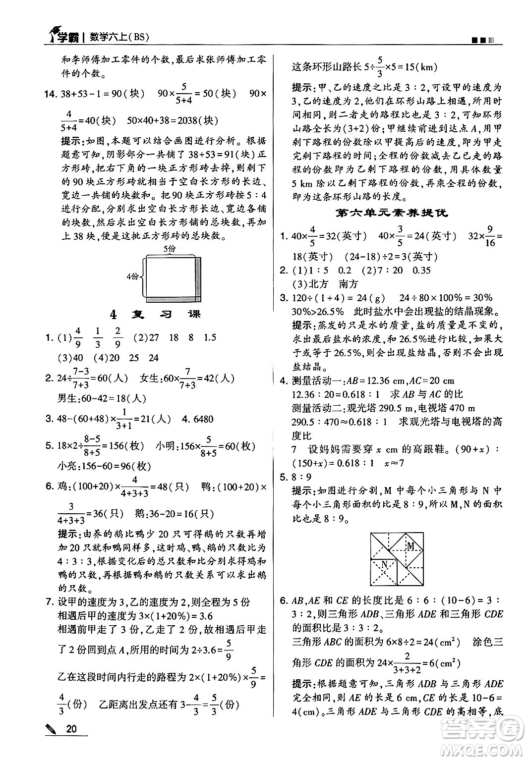 河海大學(xué)出版社2024年秋5星學(xué)霸六年級數(shù)學(xué)上冊北師大版答案