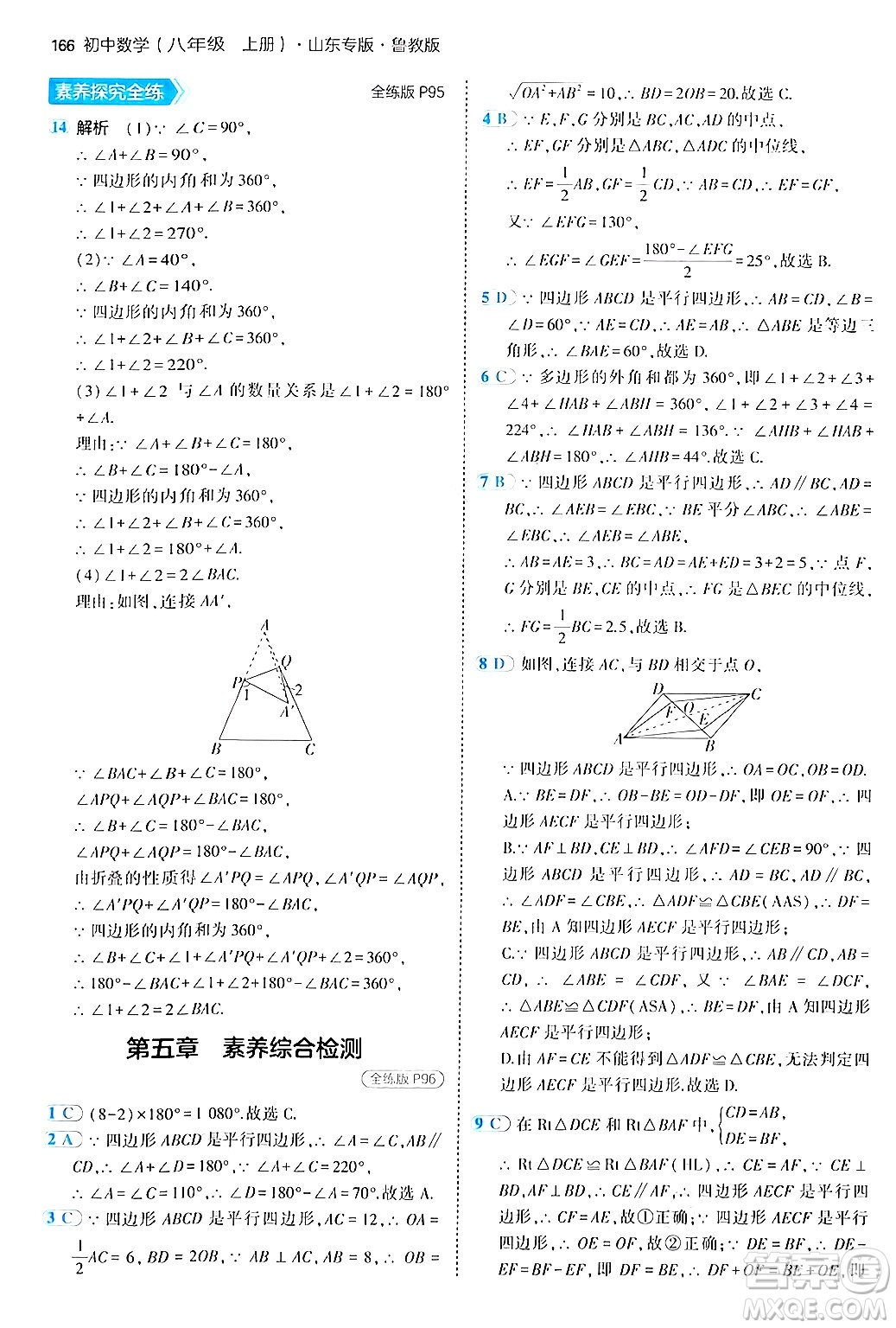 四川大學(xué)出版社2024年秋初中同步5年中考3年模擬八年級數(shù)學(xué)上冊魯教版山東專版答案