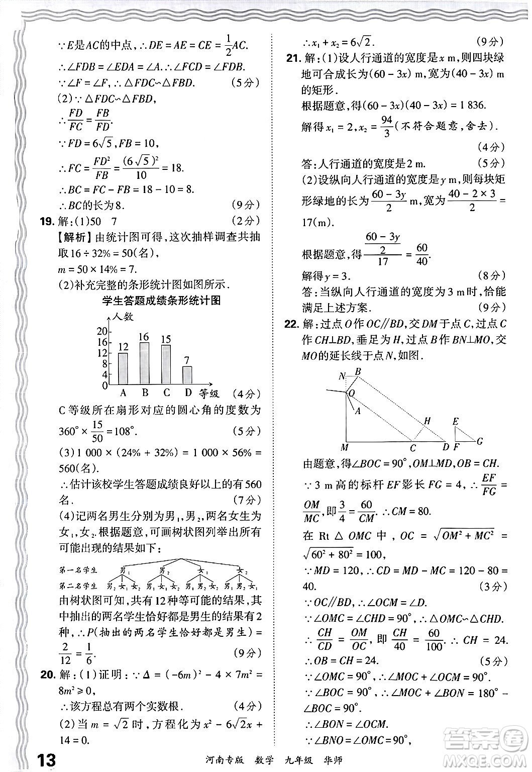 江西人民出版社2025年秋王朝霞各地期末試卷精選九年級數(shù)學(xué)全一冊華師版河南專版答案