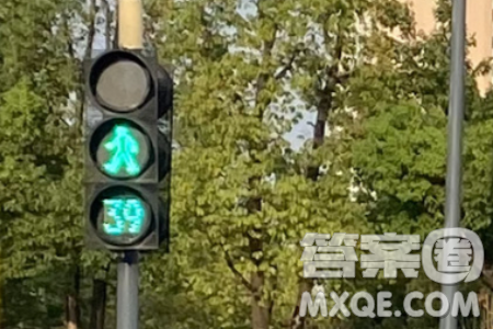 在這支共同譜寫的愛的協(xié)奏曲中私家車司機(jī)交警網(wǎng)誰的感觸最深材料作文800字