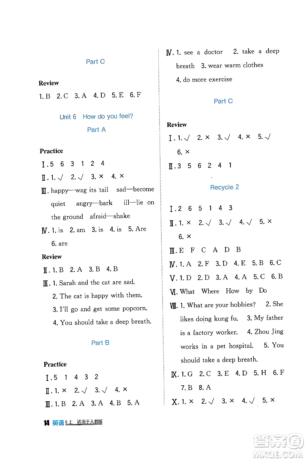 四川教育出版社2024年秋新課標(biāo)小學(xué)生學(xué)習(xí)實踐園地六年級英語上冊人教版三起點答案