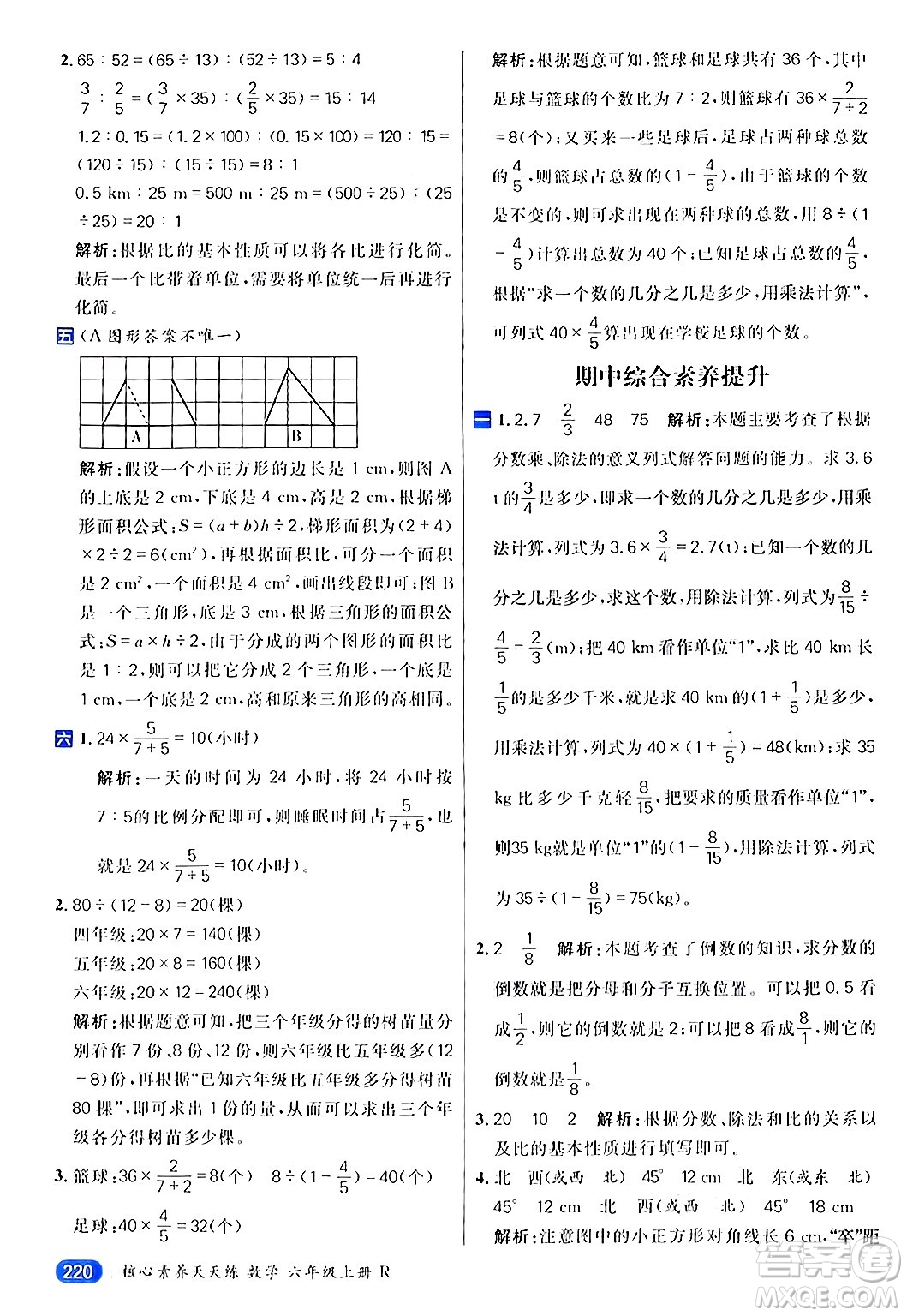 南方出版社2024秋學(xué)緣教育核心素養(yǎng)天天練六年級(jí)數(shù)學(xué)上冊(cè)人教版答案