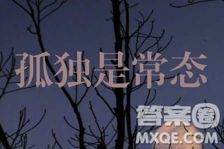 表達(dá)與沉默材料作文800字 關(guān)于表達(dá)與沉默的材料作文800字