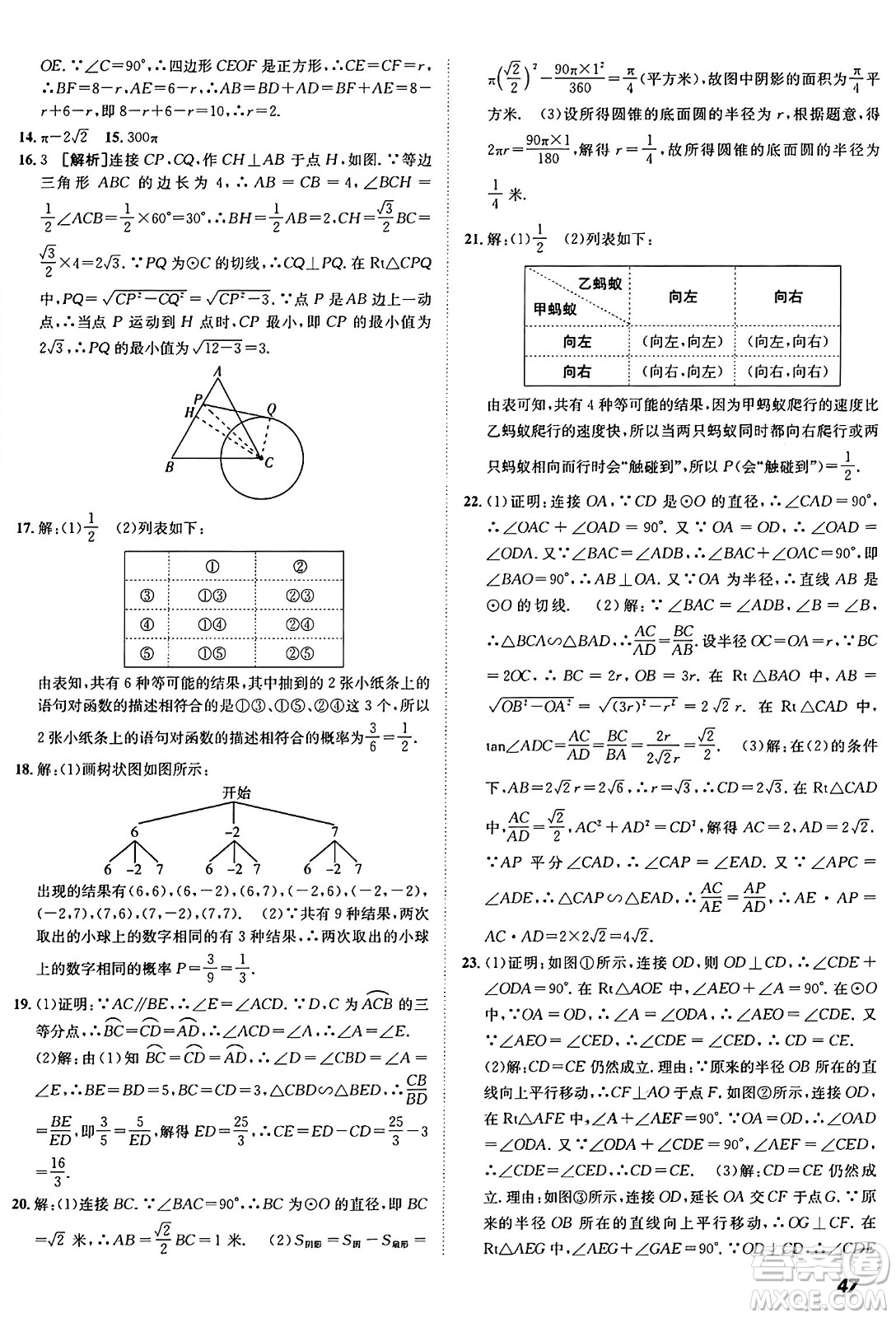 新疆青少年出版社2025年秋神龍教育期末考向標(biāo)全程跟蹤突破測試卷九年級數(shù)學(xué)全一冊魯教版答案