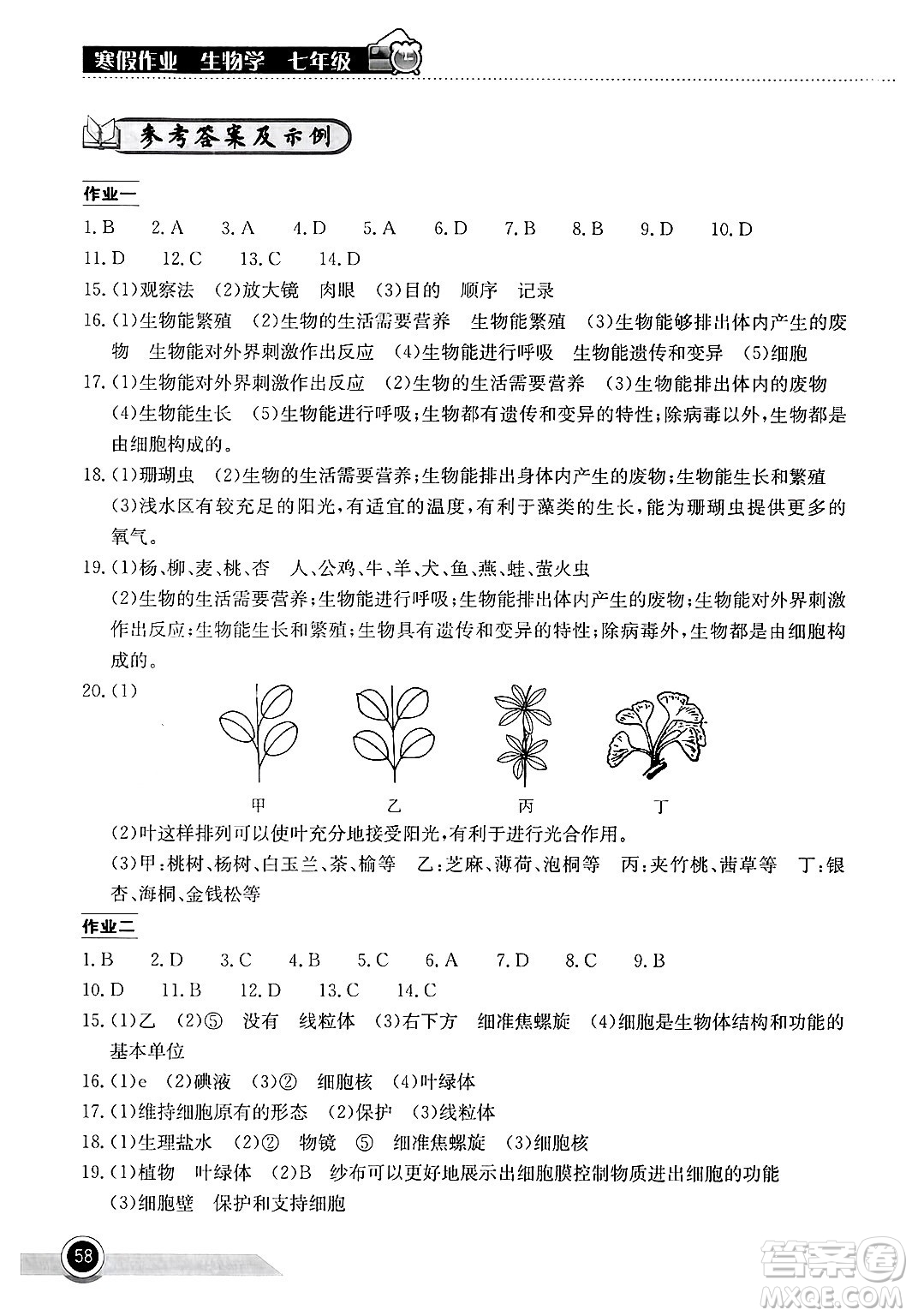 湖北教育出版社2025年長江作業(yè)本寒假作業(yè)七年級生物通用版答案