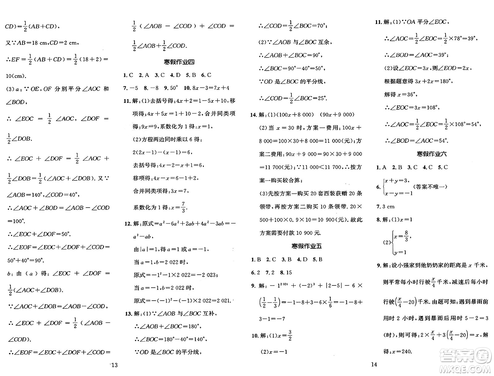 長江出版社2025年鑫浪傳媒給力100寒假作業(yè)七年級(jí)數(shù)學(xué)湘教版答案