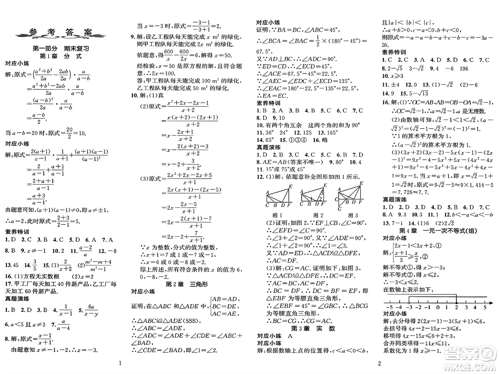 長江出版社2025年鑫浪傳媒給力100寒假作業(yè)八年級數(shù)學(xué)湘教版答案