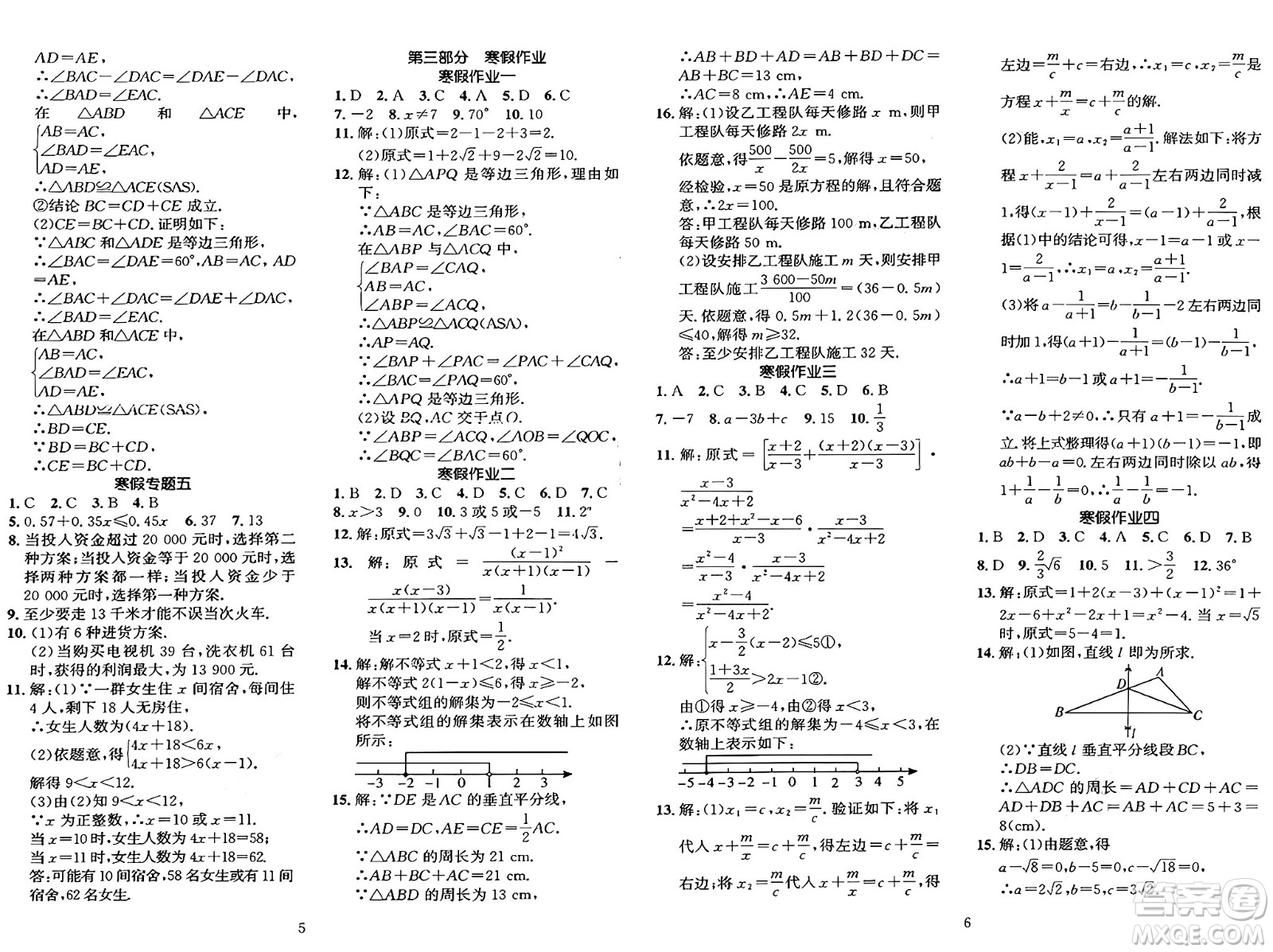 長江出版社2025年鑫浪傳媒給力100寒假作業(yè)八年級數(shù)學(xué)湘教版答案